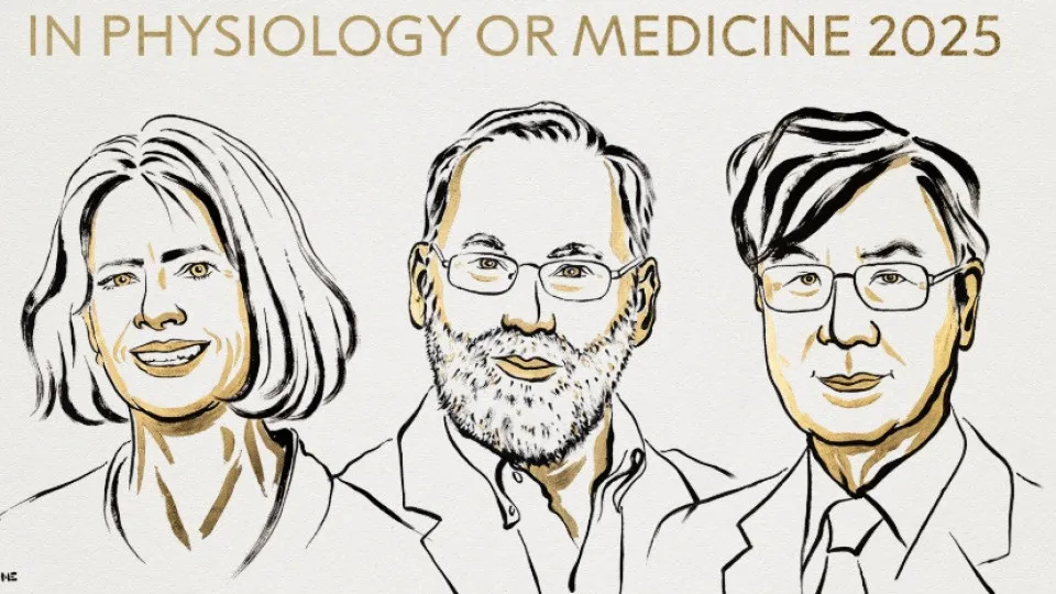 Nobel da Medicina vai para Mary E. Brunkow, Fred Ramsdell e S. Sakaguchi - img