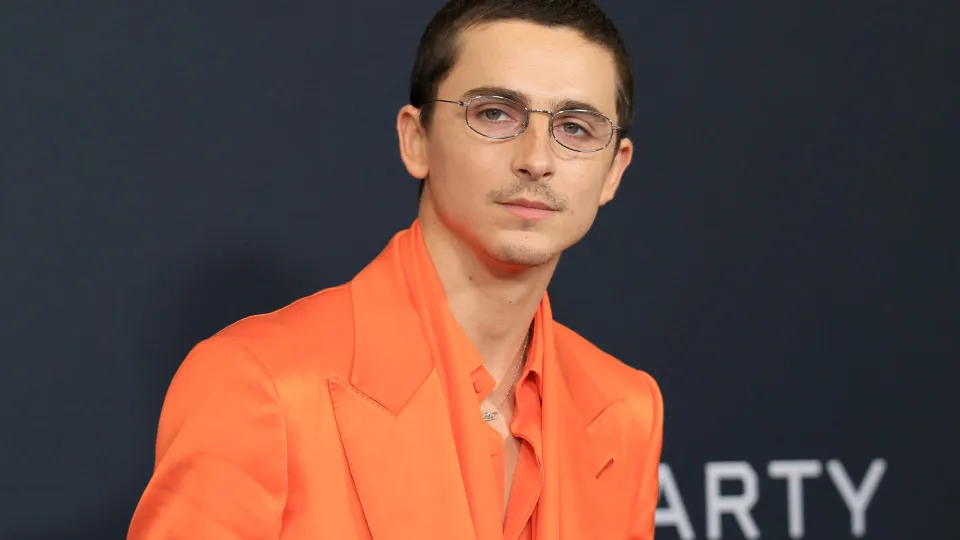Timothée Chalamet comemora chegada aos 30 anos - img