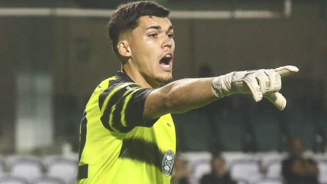 FPF afasta árbitro e auxiliar que confirmaram gol irregular do Palmeiras - img