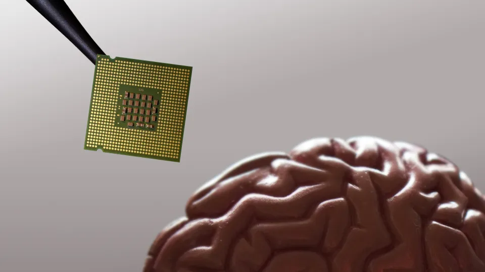 Musk quer acelerar procedimento para colocar 'chips' em cérebros humanos - img