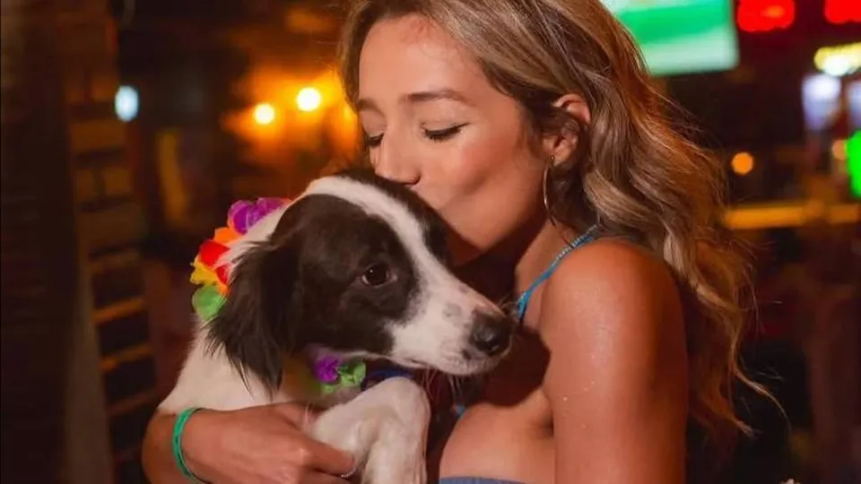 Lindolfo, cachorro de Samira, ganha prótese e estrela campanha publicitária - img