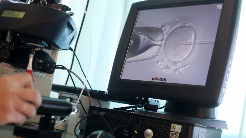 Casal branco processa clínica por erro após bebê in vitro nascer asiática - img