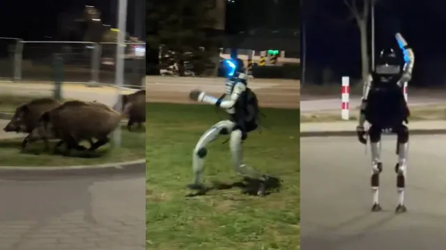 Robô persegue javalis à noite e vídeo viraliza nas redes; veja - img