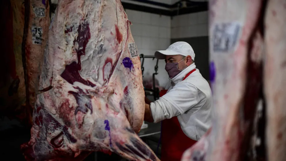 Governo é surpreendido com veto da UE sobre importação de carnes do BR - img