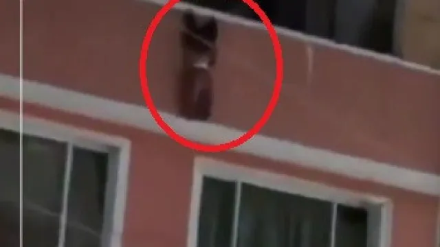 Menino de 2 anos cai de varanda e é salvo por vizinhos na Colômbia; vídeo - img