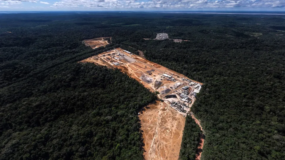Planeta perdeu mais de 41 milhões de hectares de florestas em 10 anos - img